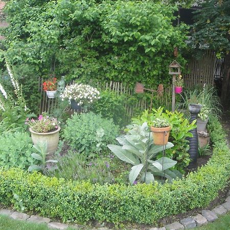 B&B Au Pont D'Arcole Beauvechain ภายนอก รูปภาพ